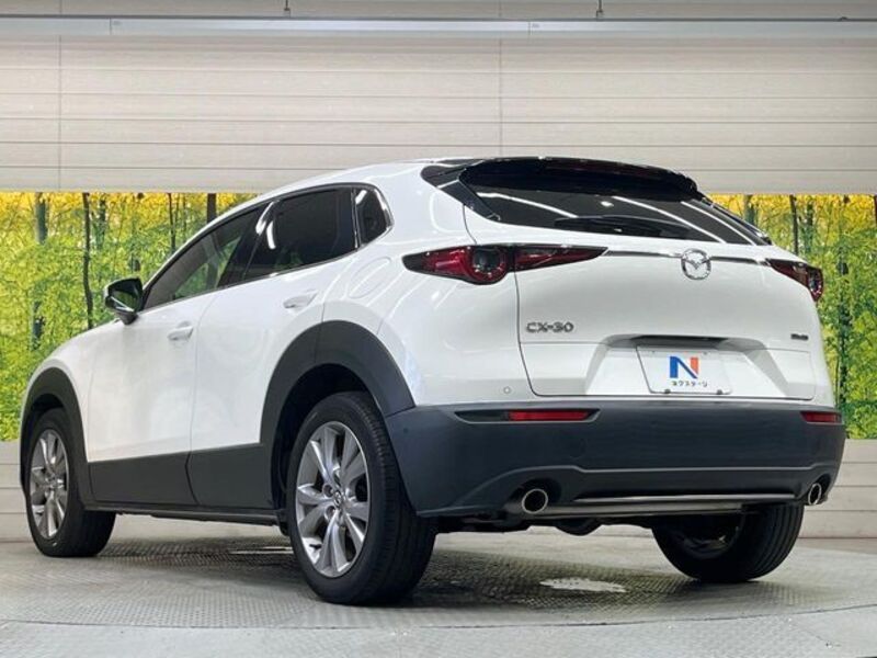 CX-30