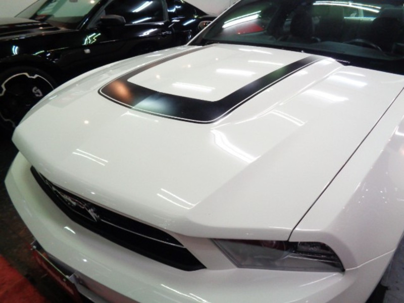 MUSTANG