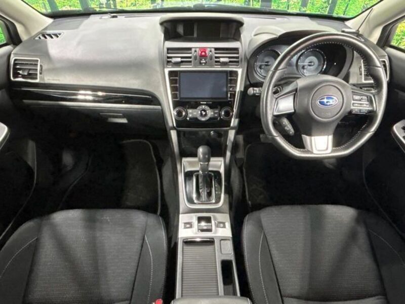LEVORG
