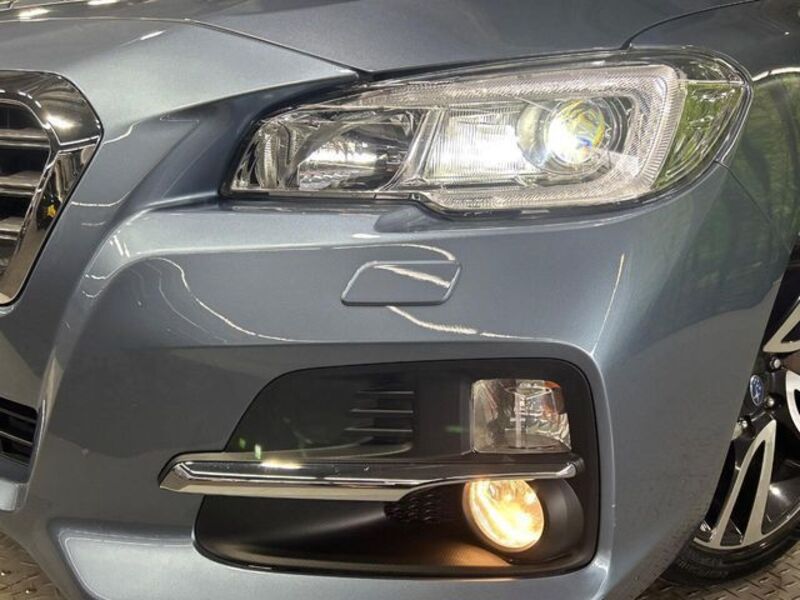 LEVORG