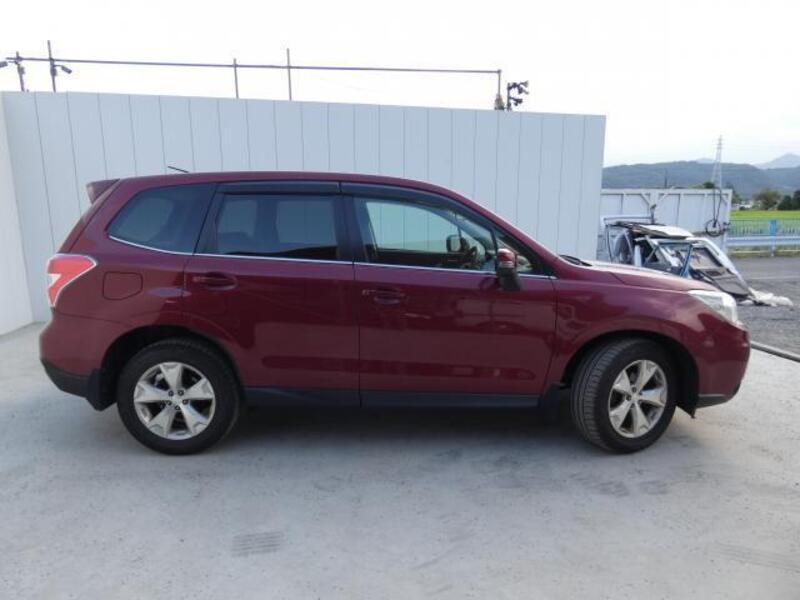 FORESTER