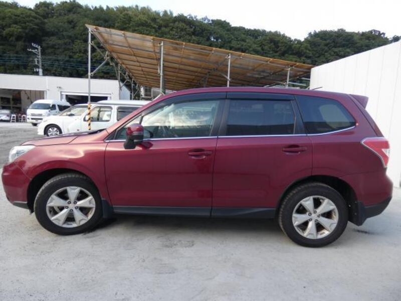 FORESTER