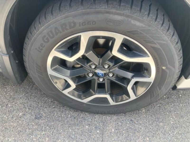 XV