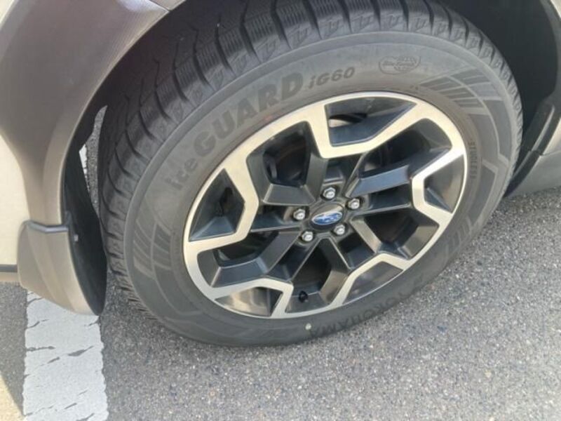 XV