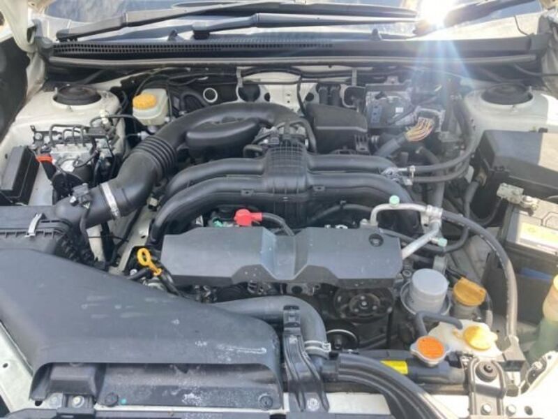 XV