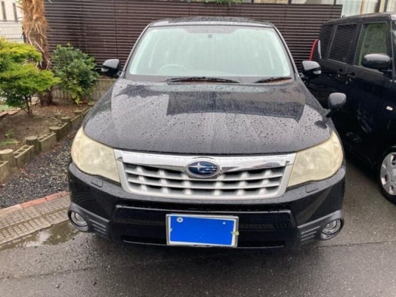 FORESTER