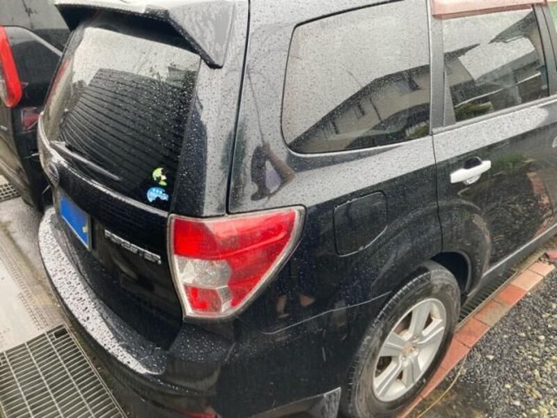 FORESTER