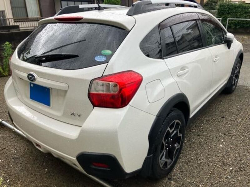 XV