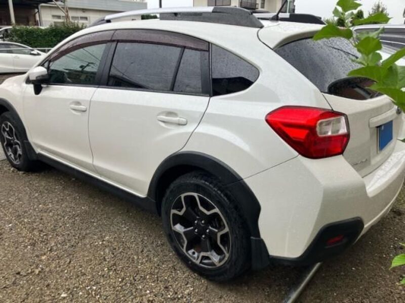 XV