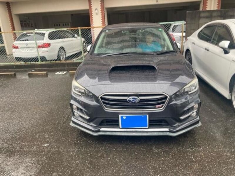 LEVORG-0