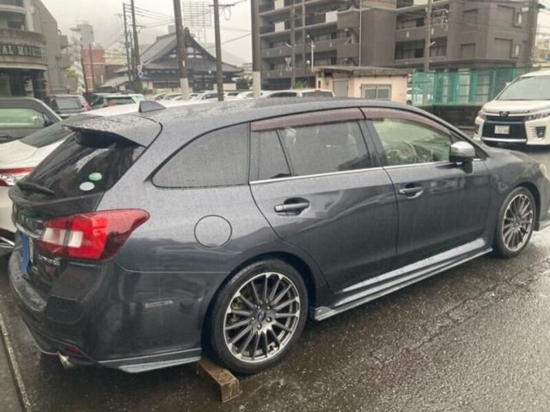 LEVORG