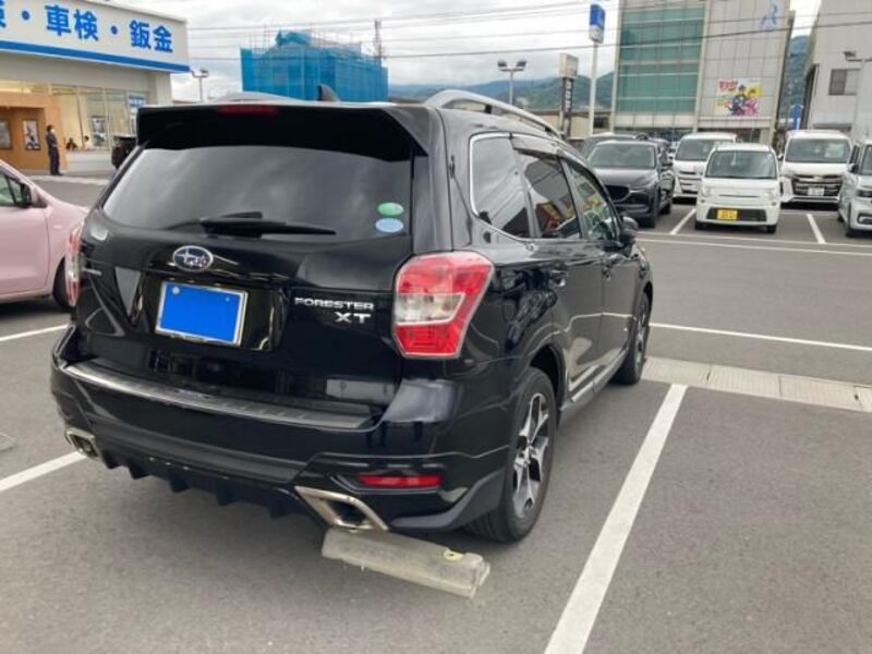 FORESTER