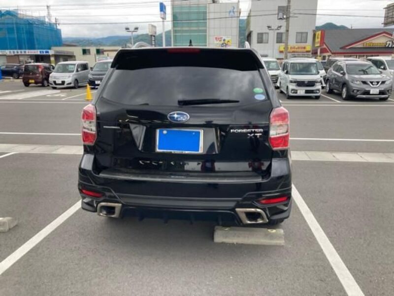 FORESTER