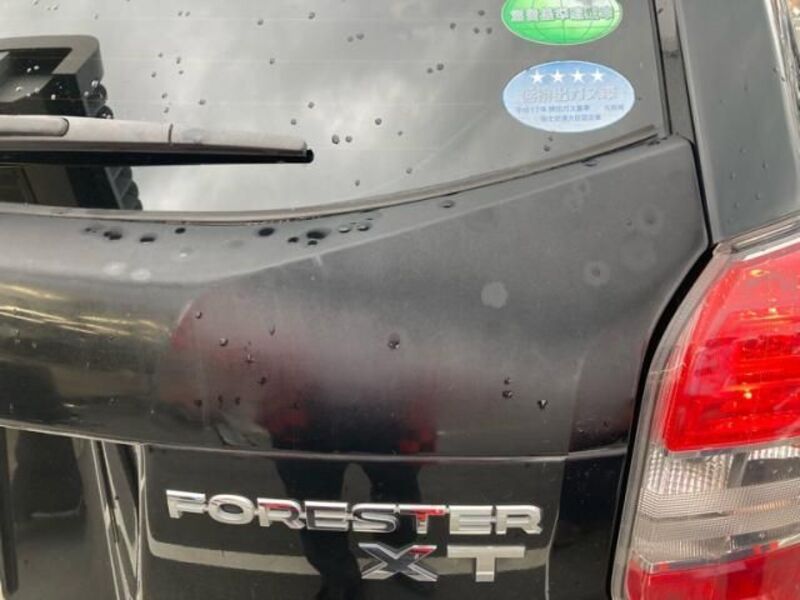 FORESTER