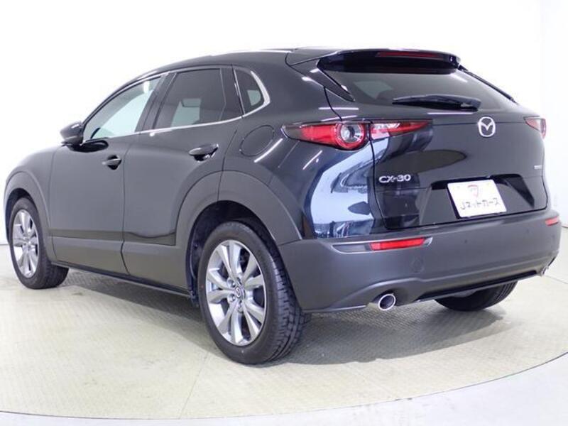 CX-30
