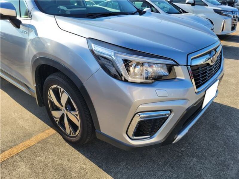 FORESTER