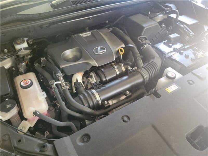 NX