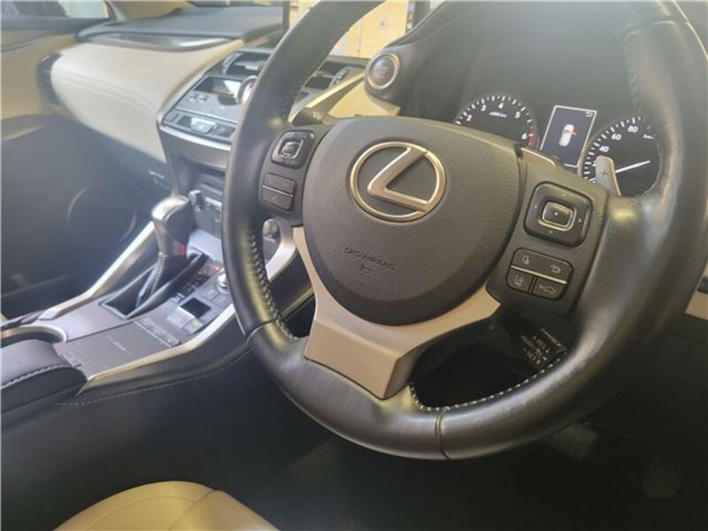 NX
