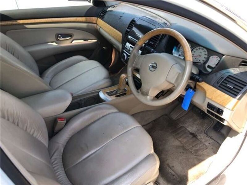BLUEBIRD SYLPHY