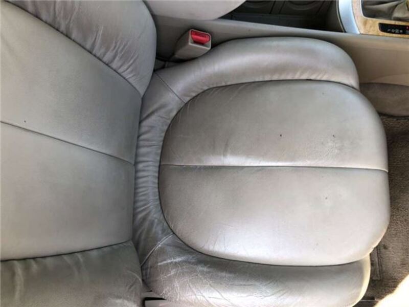 BLUEBIRD SYLPHY
