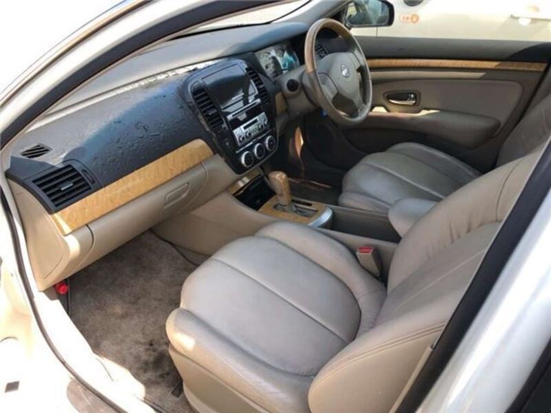 BLUEBIRD SYLPHY