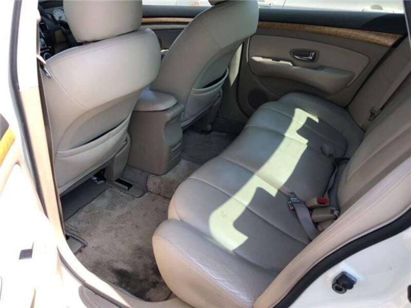 BLUEBIRD SYLPHY