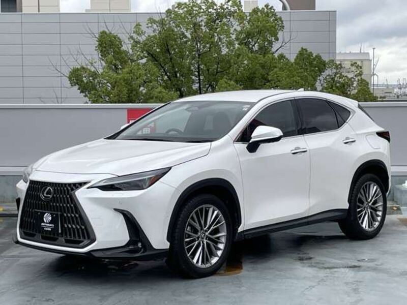 NX