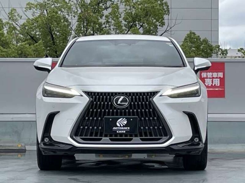NX