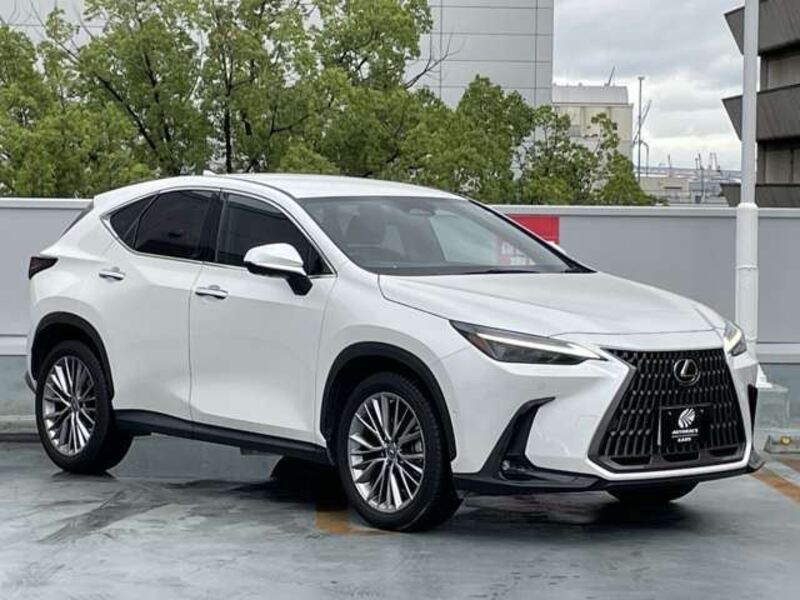 NX