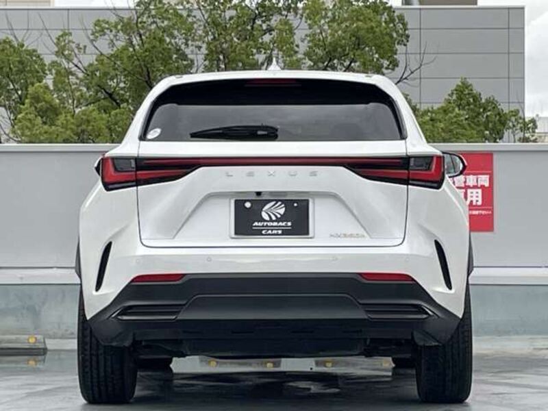 NX