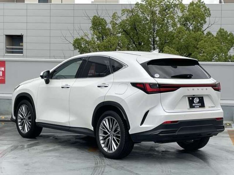 NX