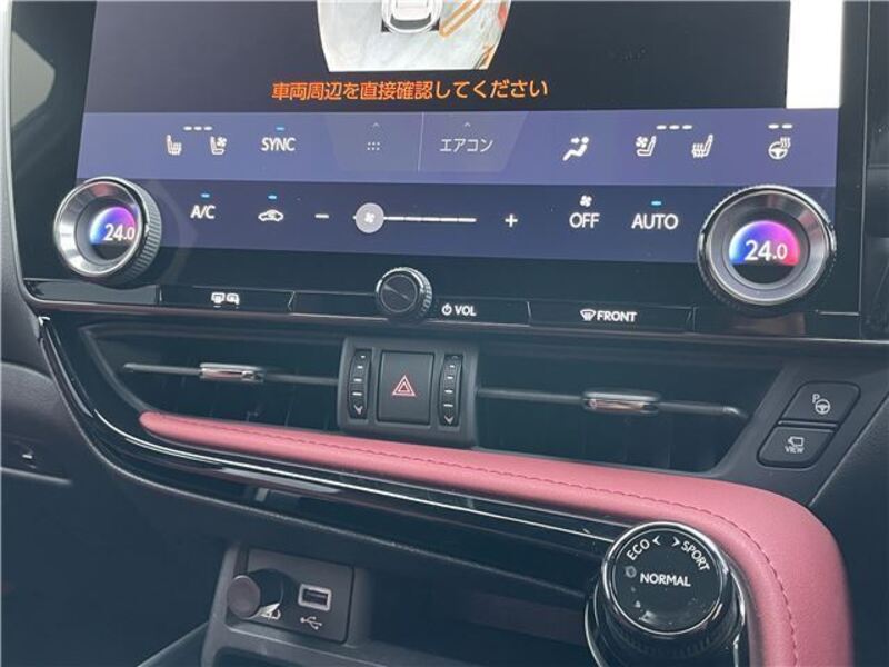 NX
