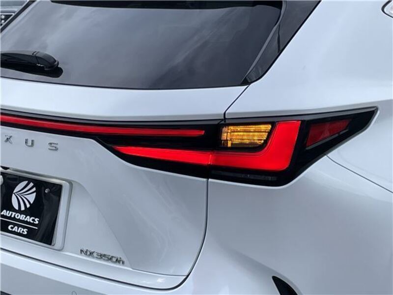 NX