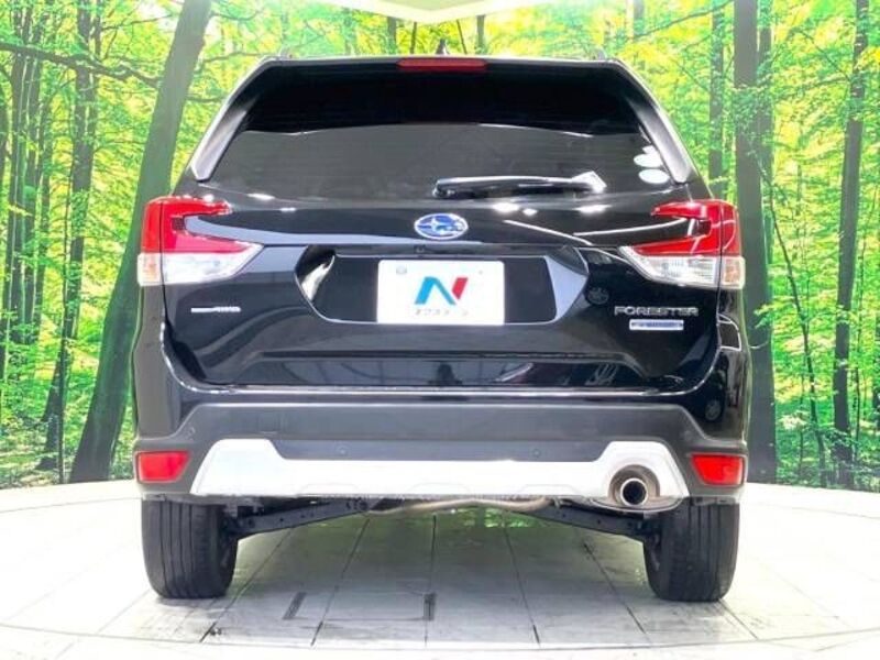 FORESTER