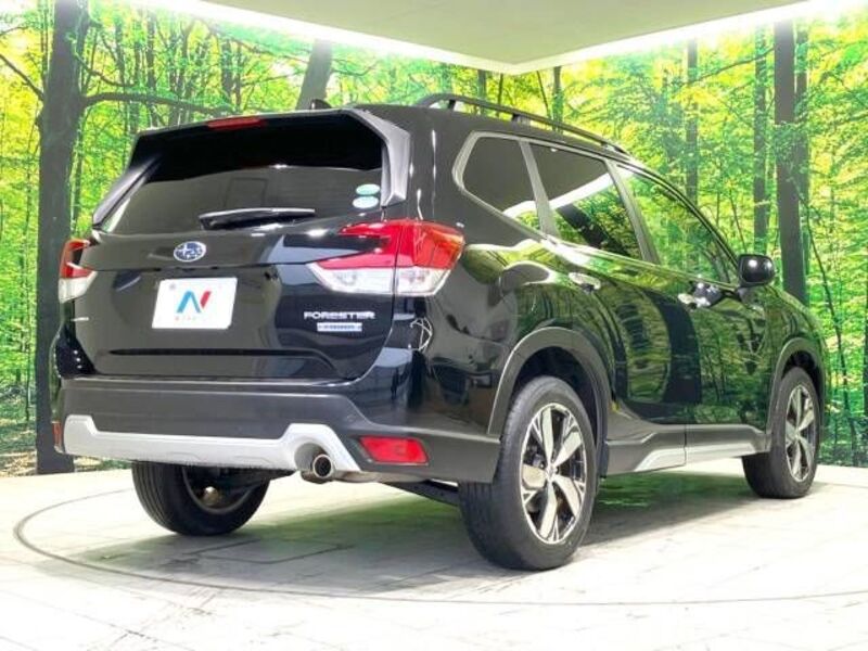 FORESTER