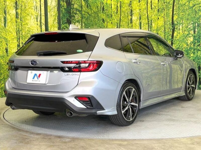 LEVORG