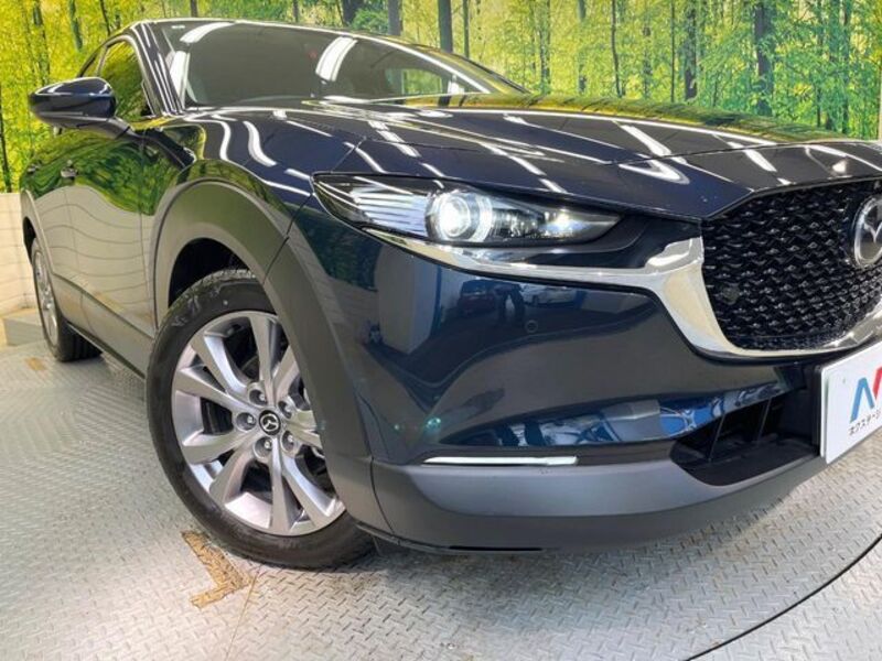 CX-30