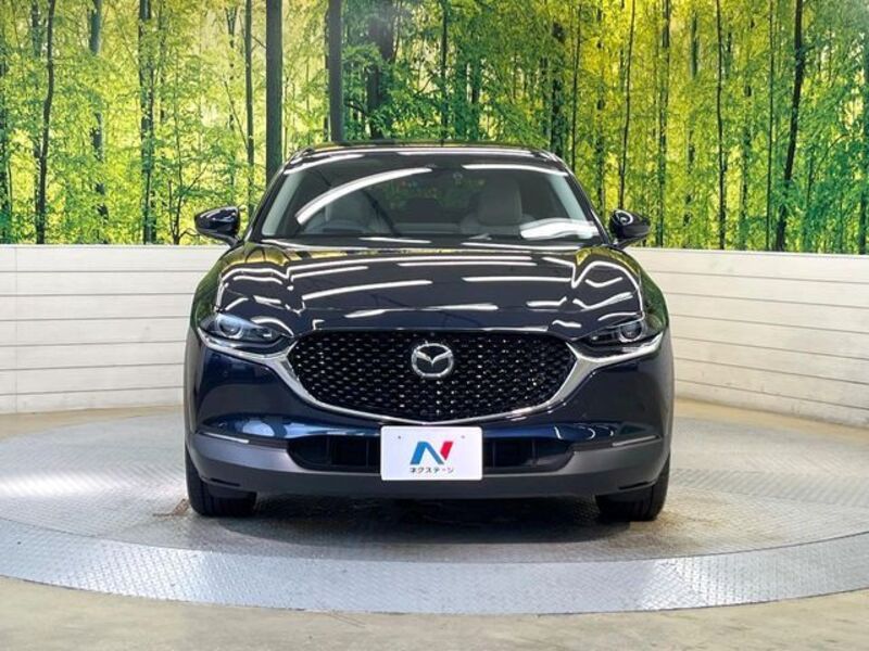 CX-30
