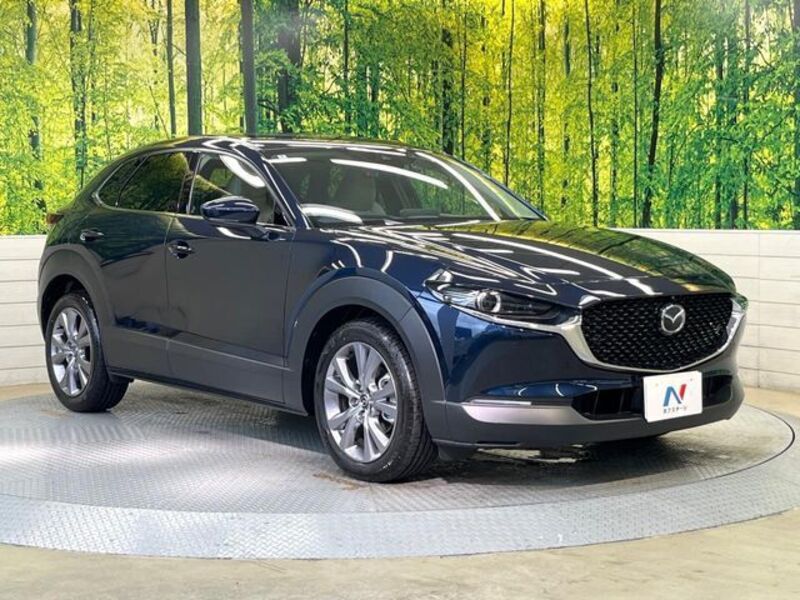 CX-30