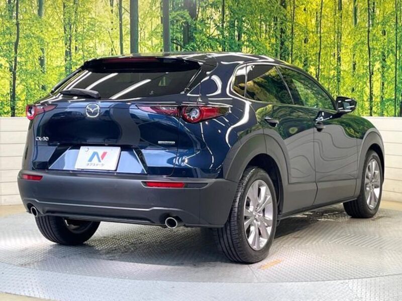 CX-30