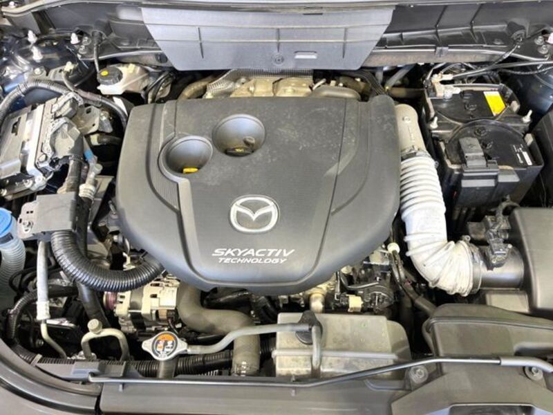 CX-8