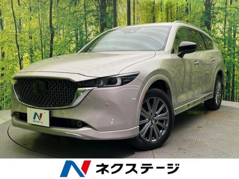 CX-8-0