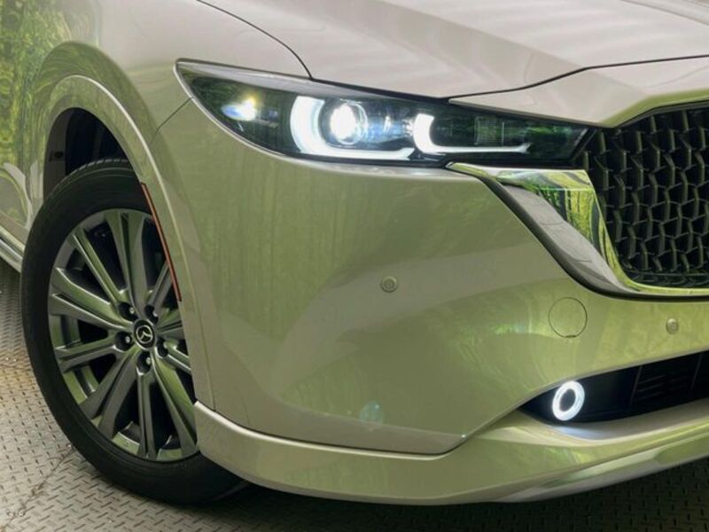 CX-8