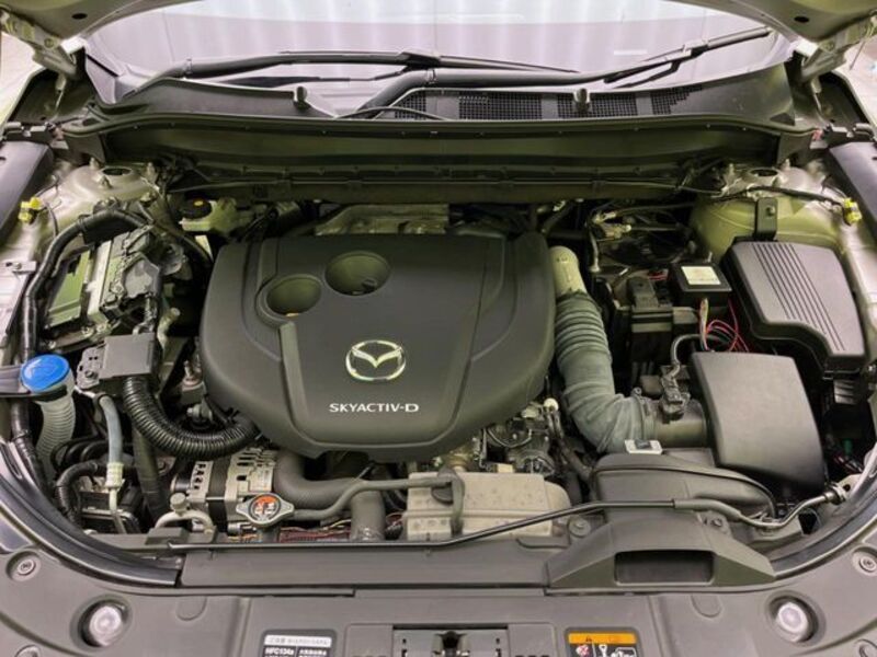 CX-8