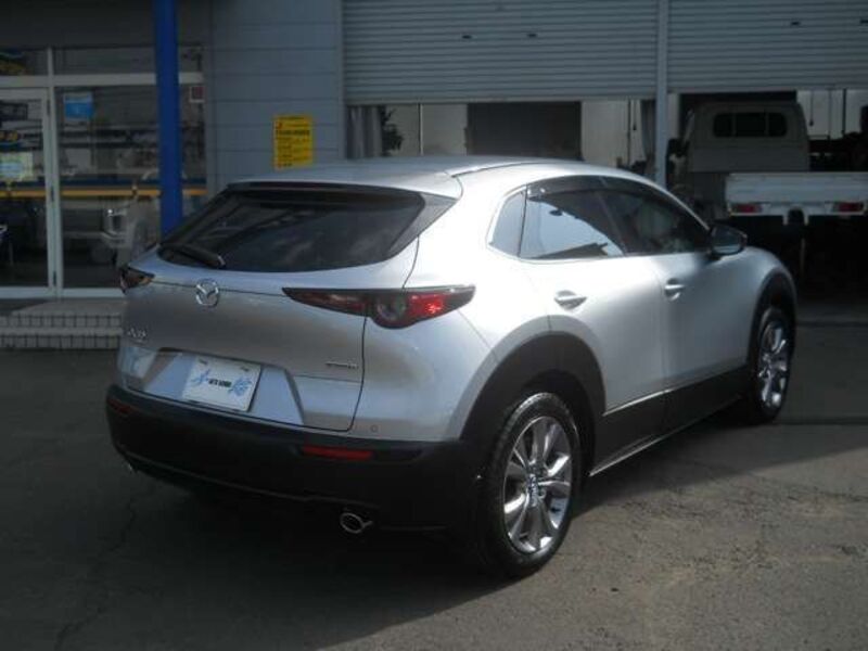 CX-30