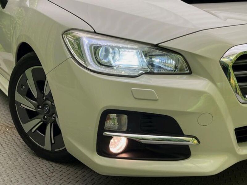 LEVORG