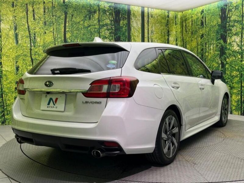 LEVORG