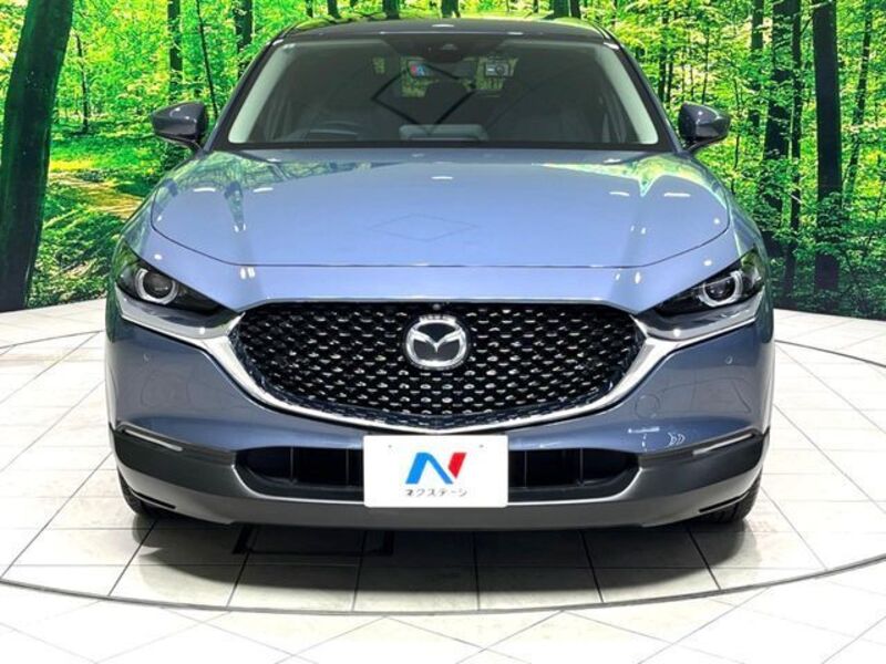 CX-30