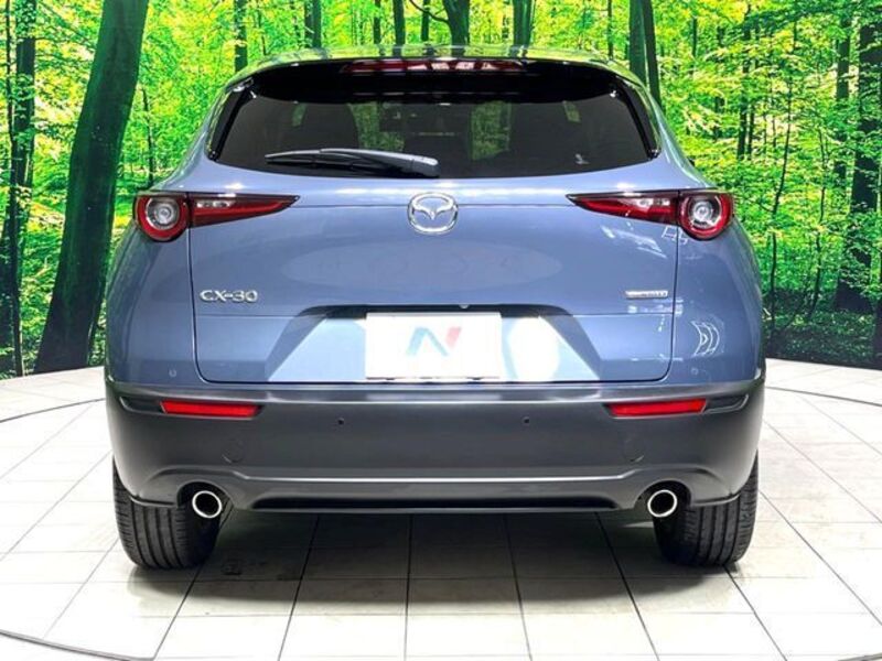 CX-30