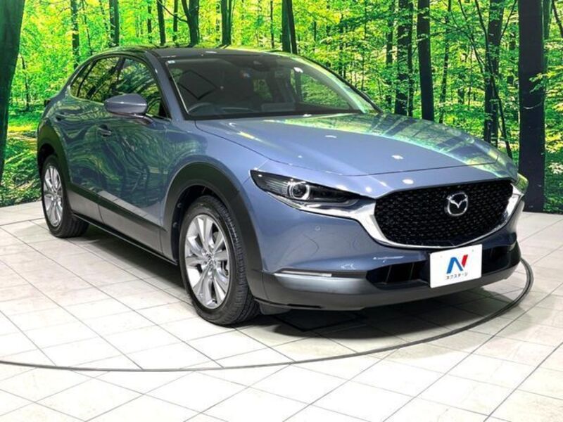 CX-30